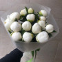 15 белых пионов фото 2