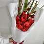 3 красных гладиолуса фото 4